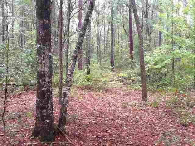 Greenville, FL 32331,17 W Bear Hollow Trail #0