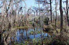 Crawfordville, FL 32327,xxx Tiger Hammock Road #-