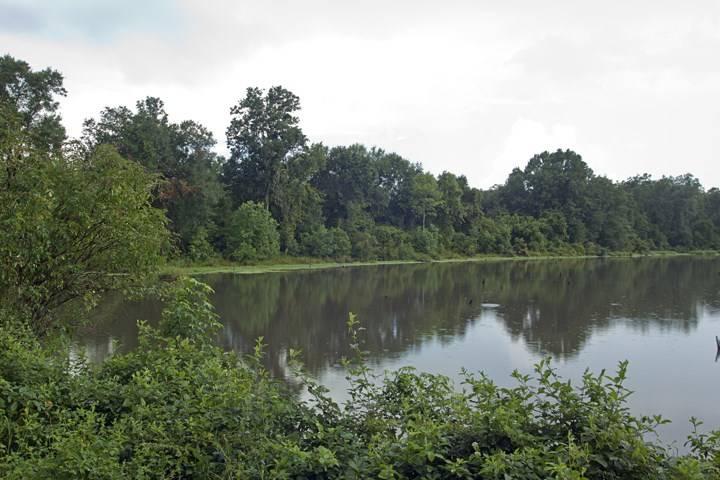 Midway, FL 32343,XXX Dover Road #-