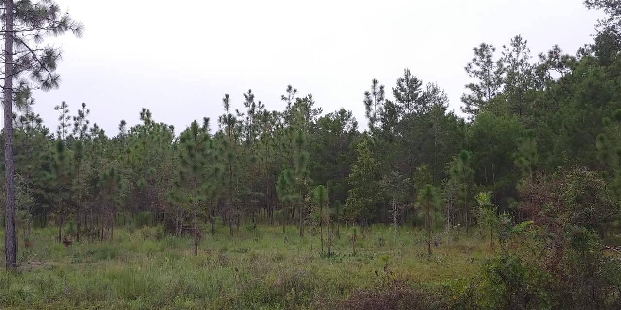 Havana, FL 32333,xxx Gibson Road