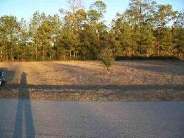 Bristol, FL 32321,Lot 11 Twin Oaks Drive #0