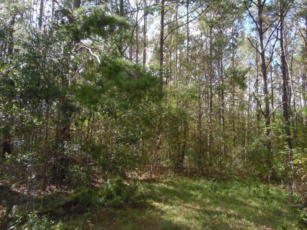 Quincy, FL 32351,Lot 10 Spring Meadows Road #0