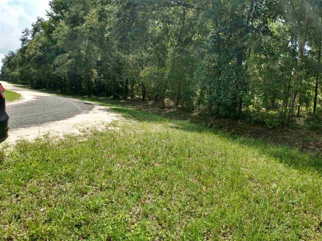 Madison, FL 32340,Vacant SW Hopewell Farms Road