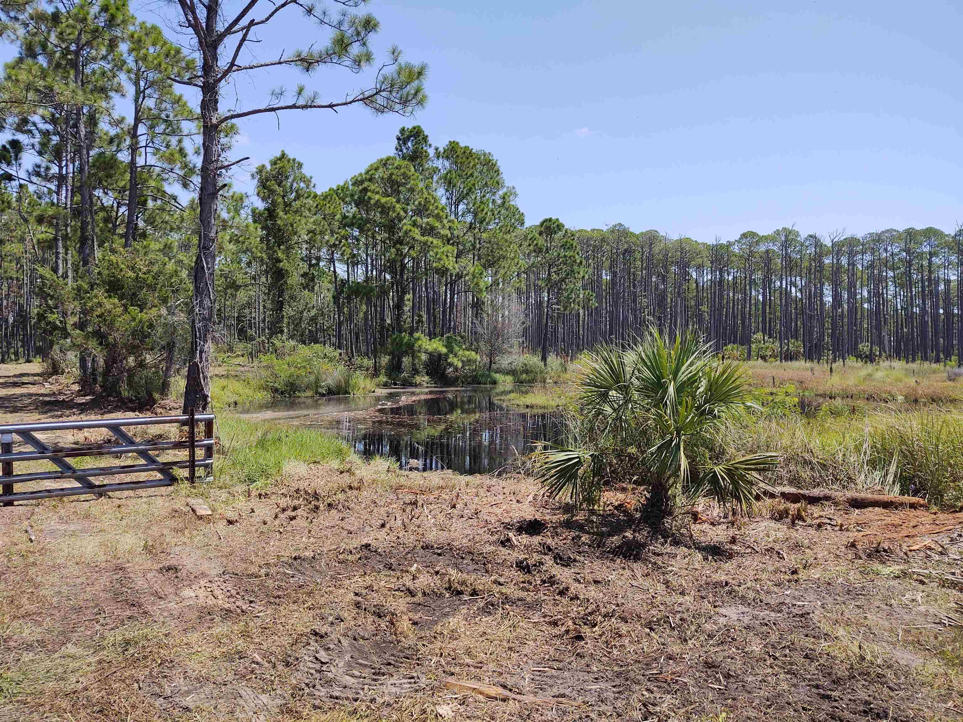 Ochlockonee Bay, FL 32327,Surf Road