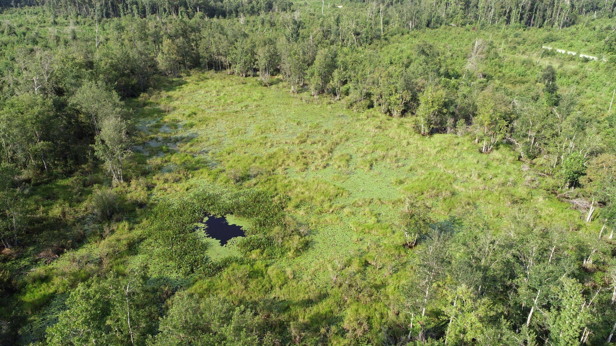 Lamont, FL 32336,Poppell Cemetery Road