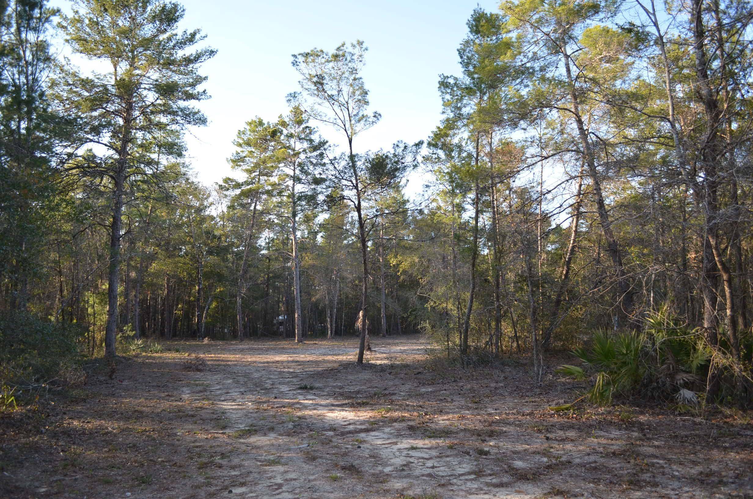 Keaton Beach, FL 32348,18997 S Jody Morgan Road