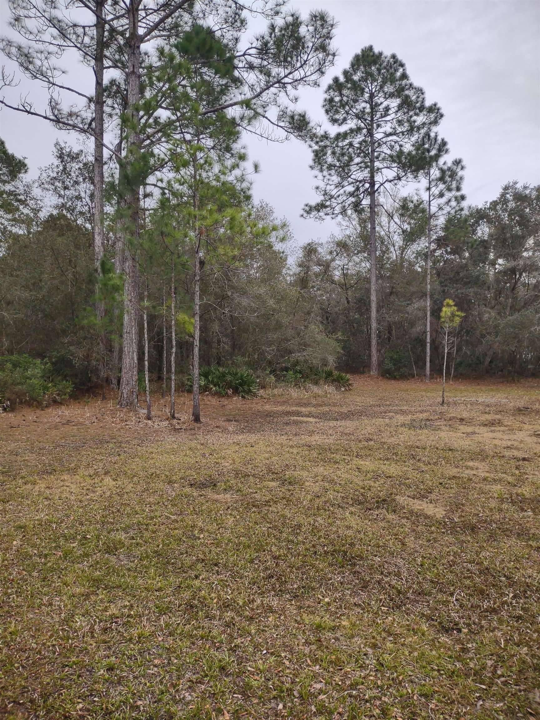 Perry, FL 32348,1645 Little Warrior CT
