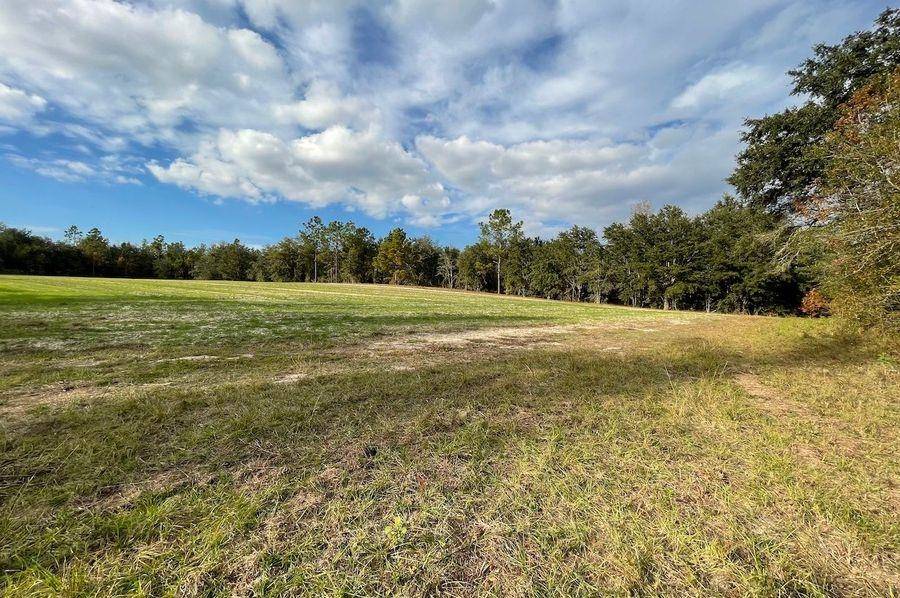 Grand Ridge, FL 32442,Shady Grove Road