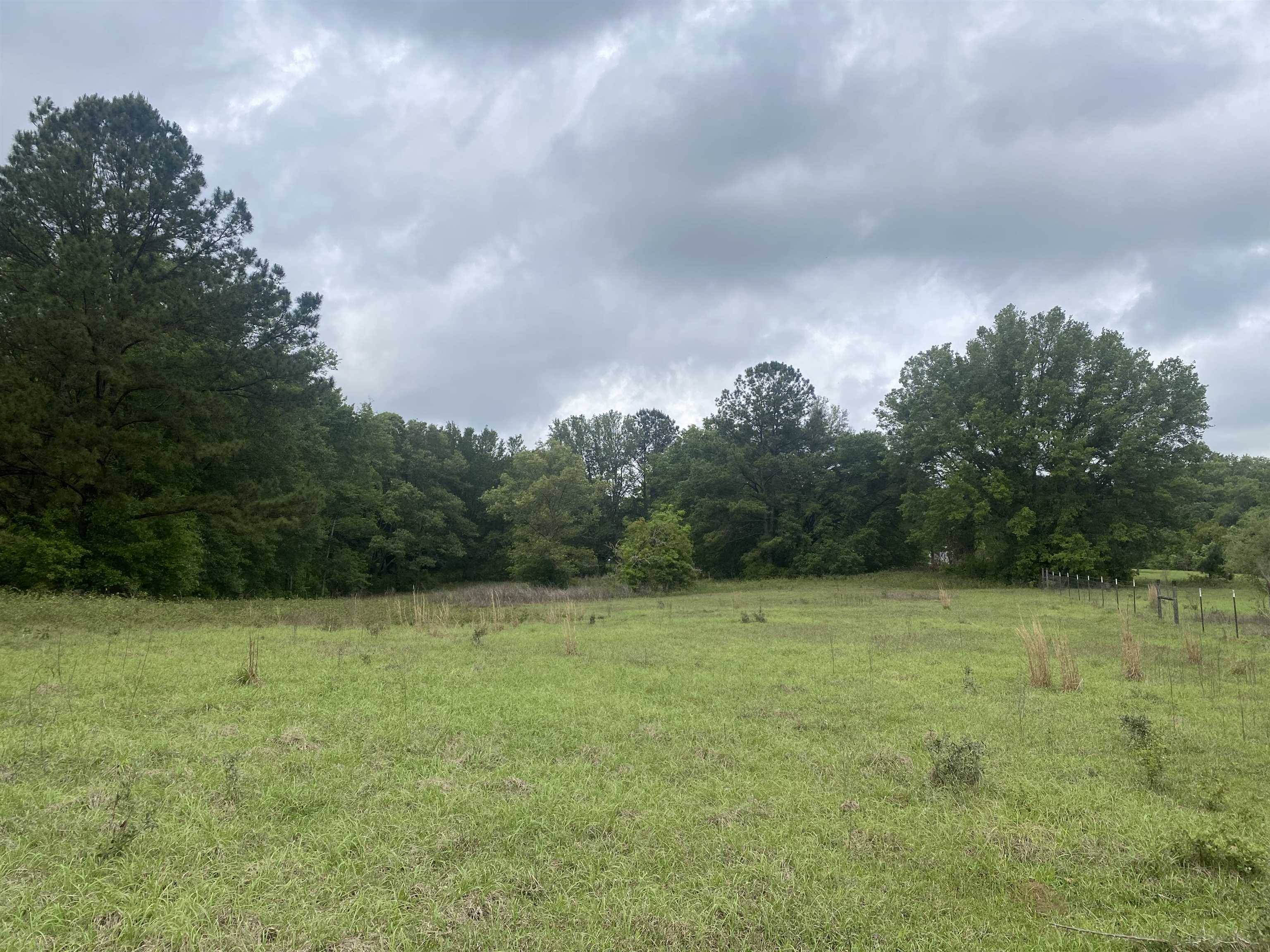 Madison, FL 32340,NE Vacant Prairie Road