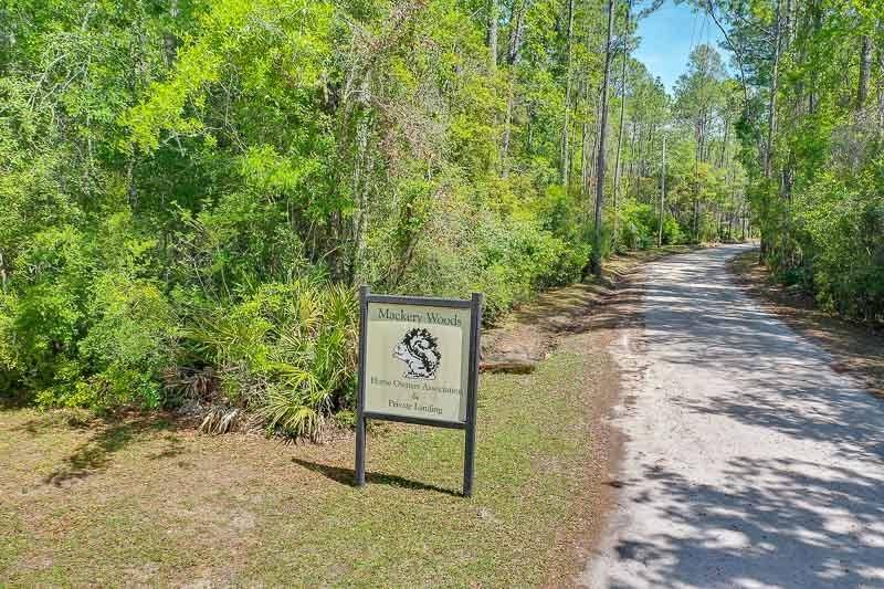 Sopchoppy, FL 32358,TBD Pamela Place