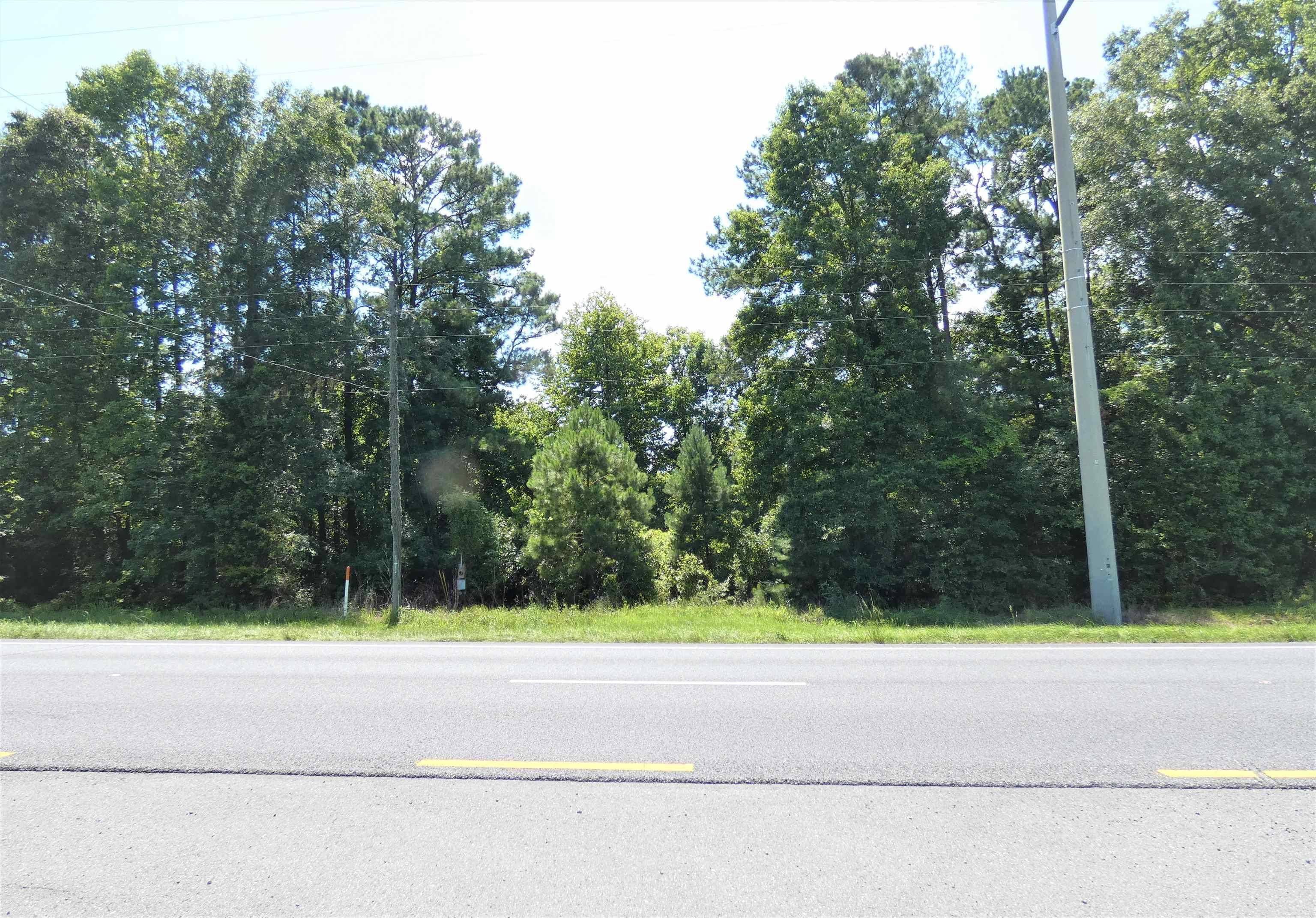 Lamont, FL 32336,TBD S Jefferson Highway