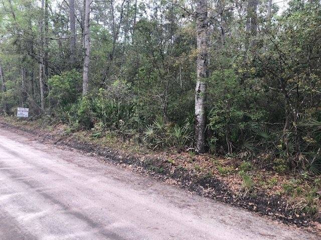 Sopchoppy, FL 32358,xx Daughtry Drive