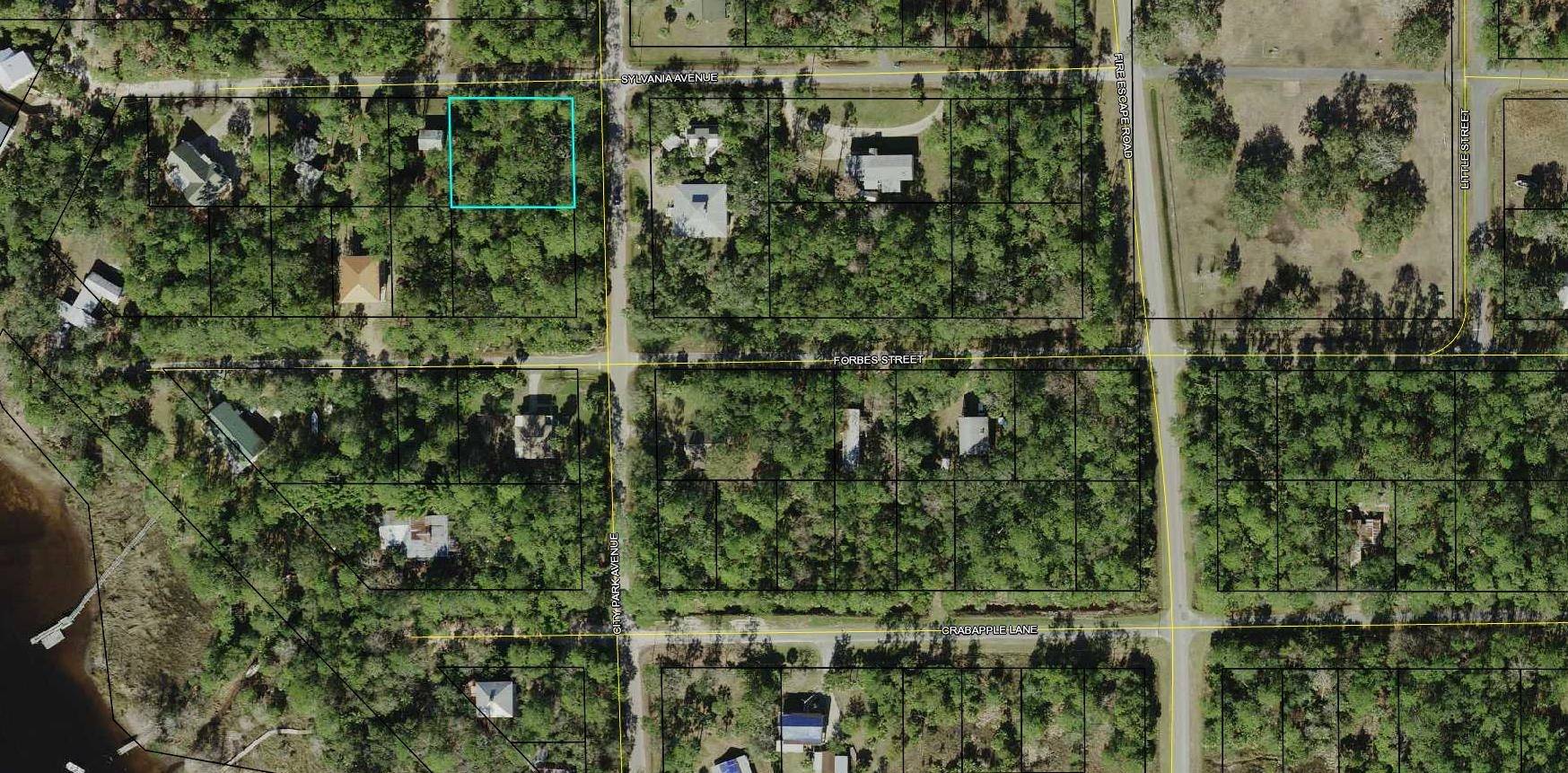 St Marks, FL 32355,Lots 1 & 2 City Park Avenue