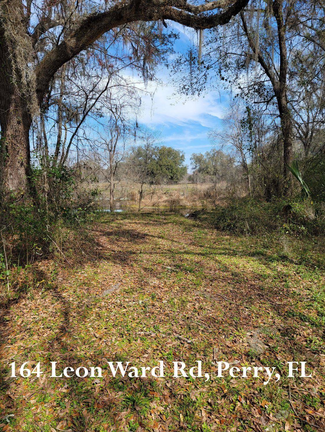 Perry, FL 32347,164 Leon Ward Road