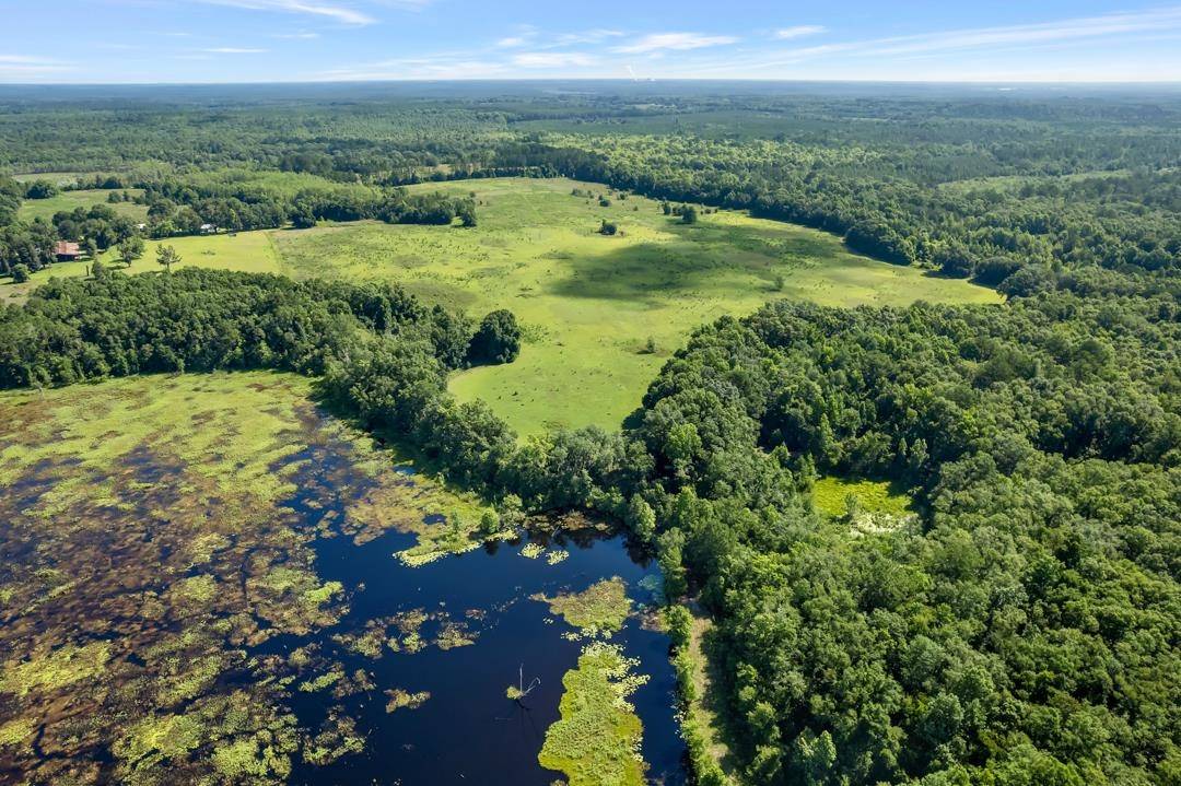 Pinetta (madison County), FL 32350,Vacant NE Captain Buie Road