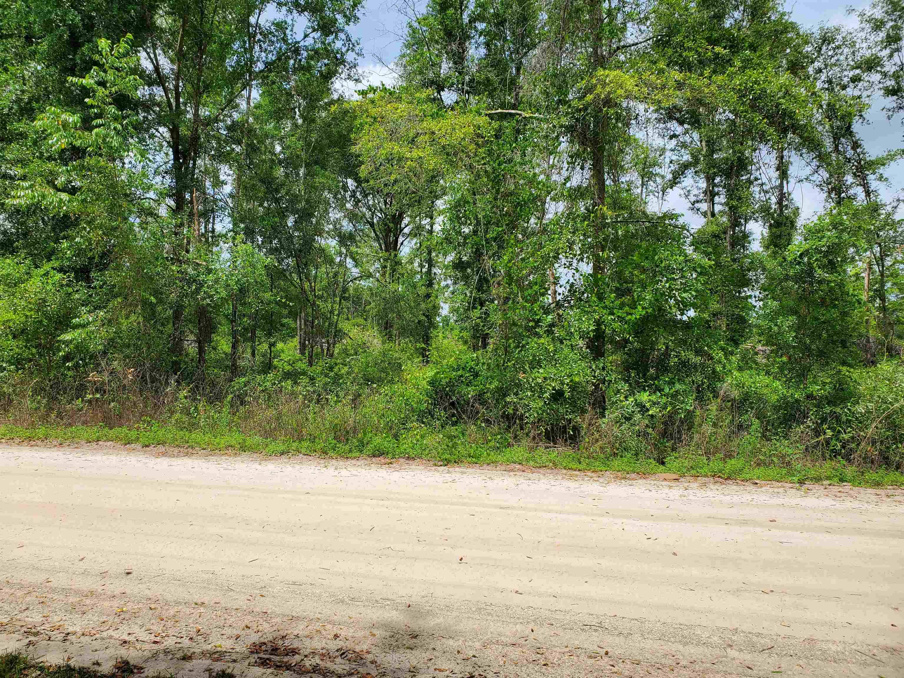 Lee, FL 32052,10 AC POW WOW Street