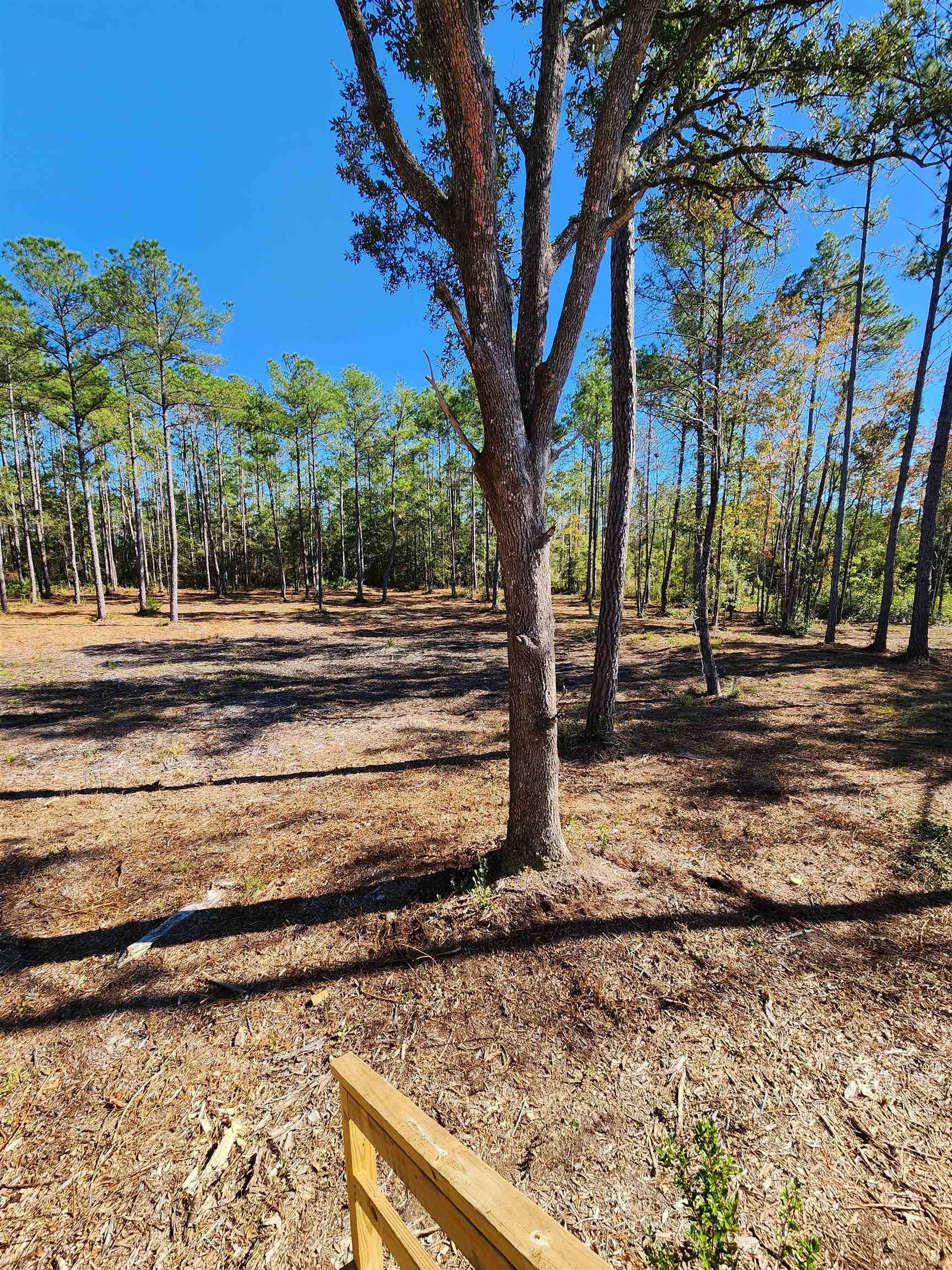 Hosford, FL 32334,18512 NE BLUEBERRY TRL