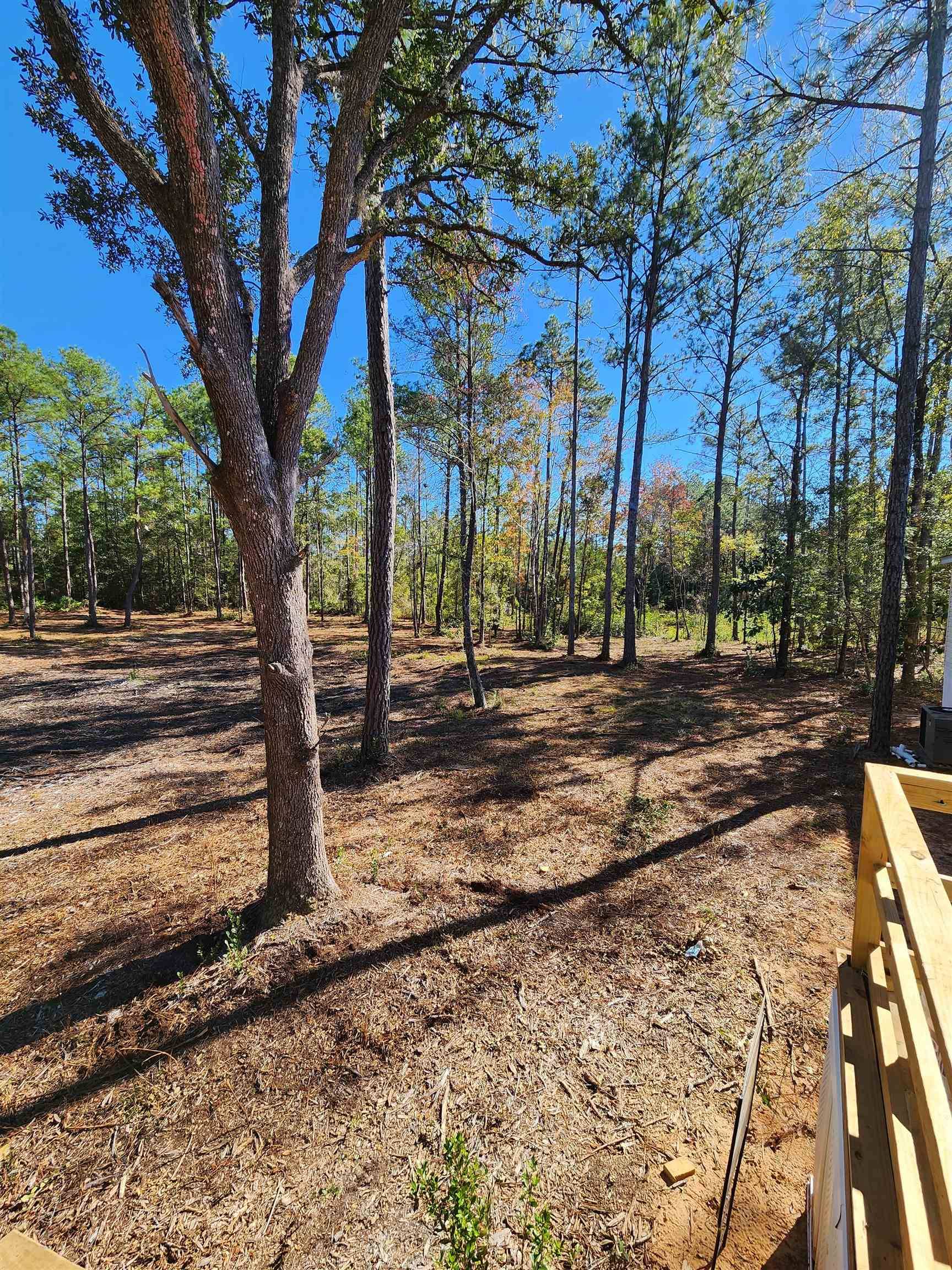 Hosford, FL 32334,18512 NE BLUEBERRY TRL