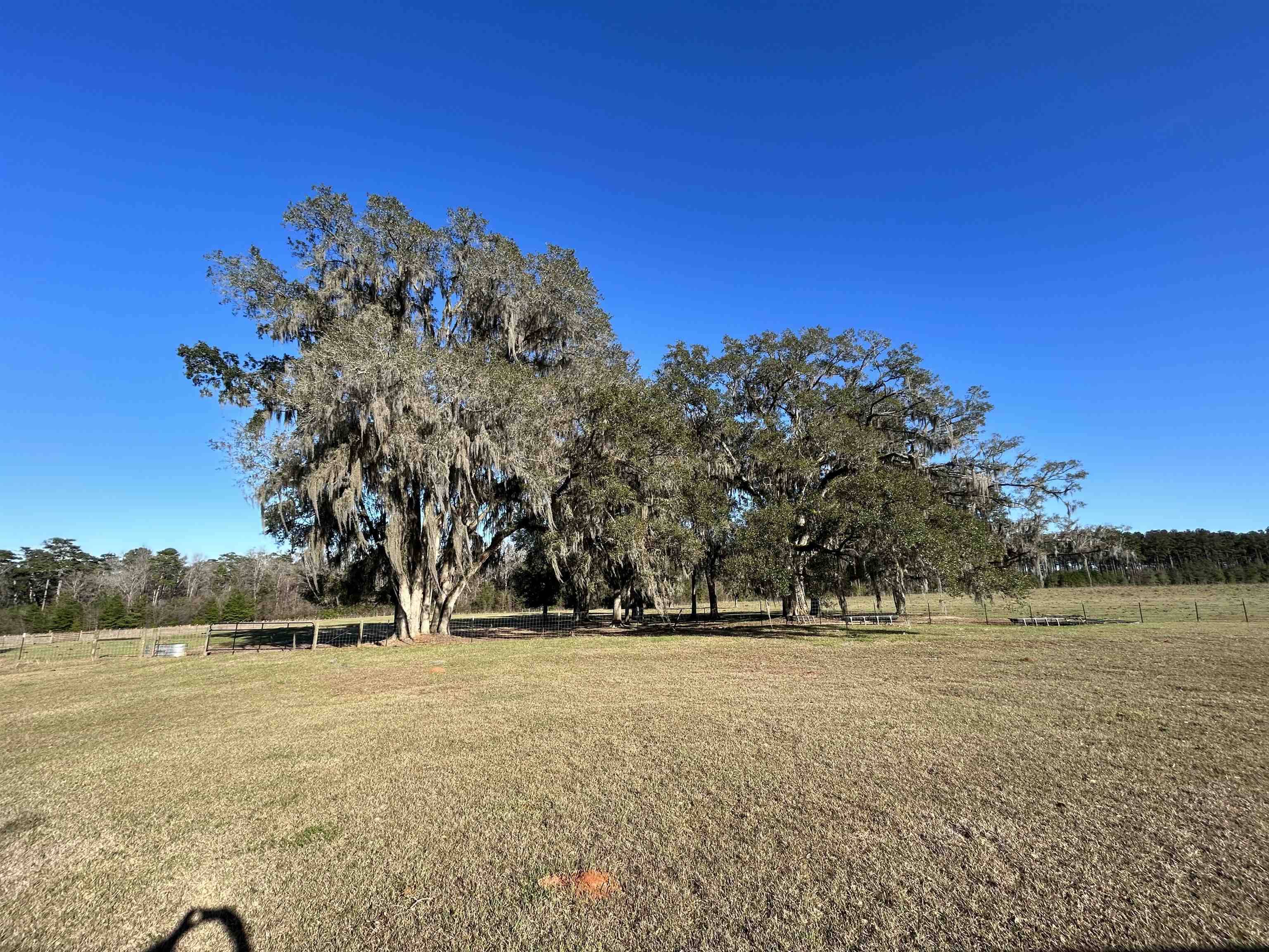 Tallahassee, FL 32309,lot 7 Maryjane Vincent Way