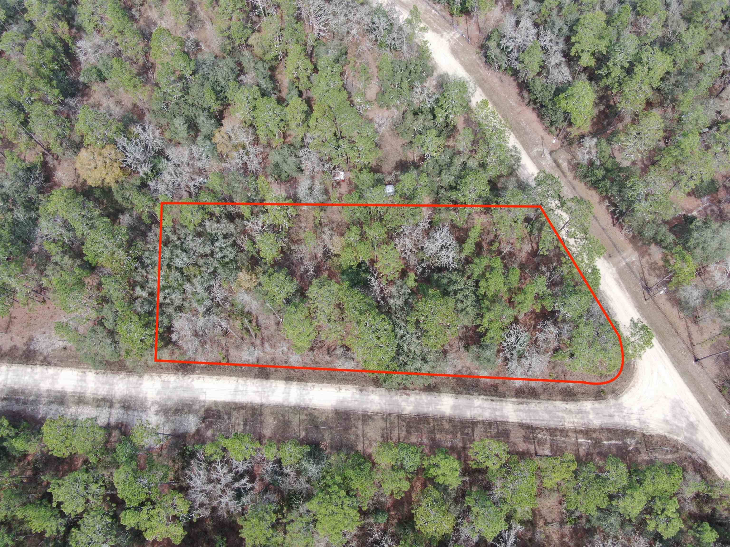 Lee, FL 32059,Vacant NE Blackjack Loop #1