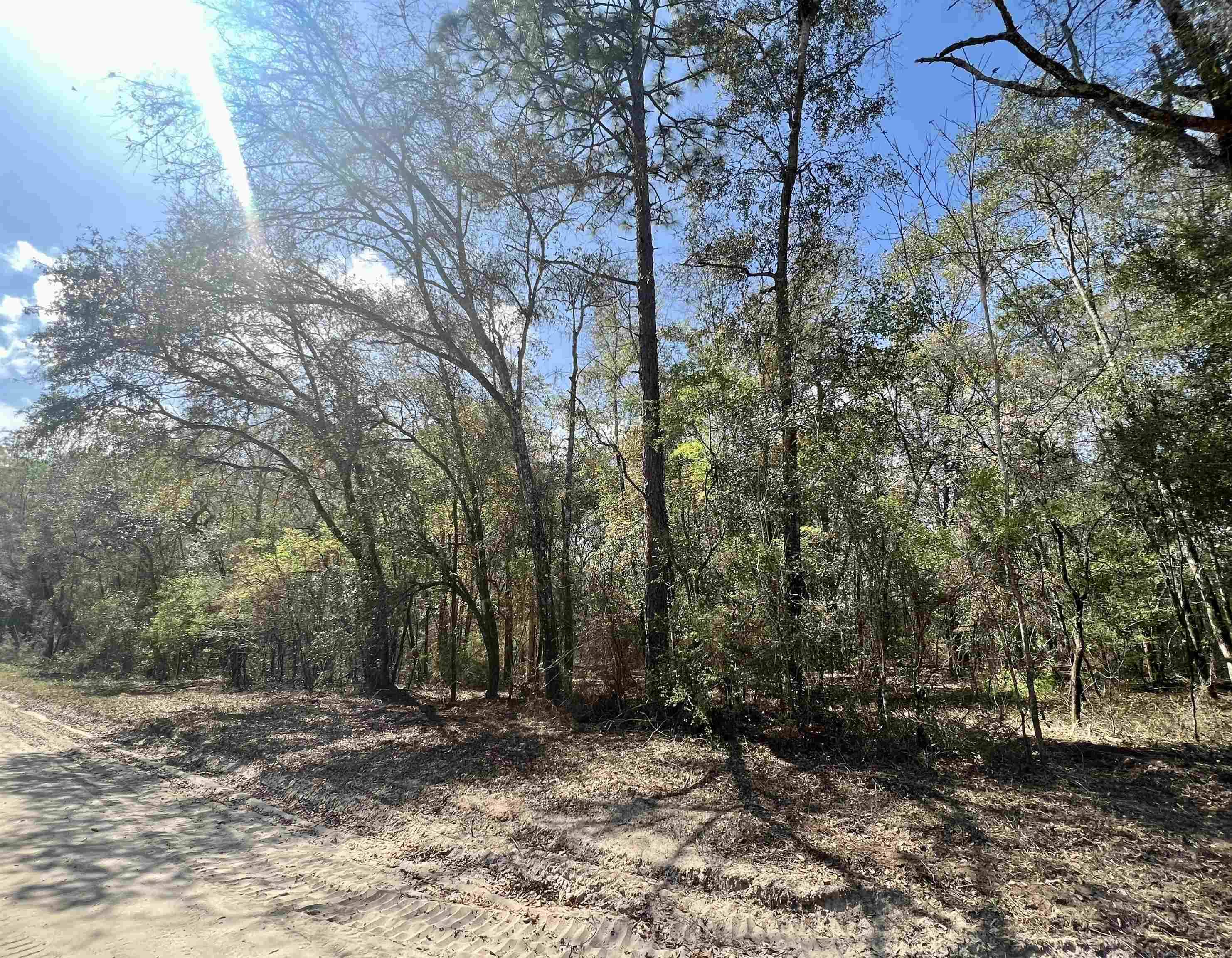 Lee, FL 32059,Lot 4 NE Ivy Drive