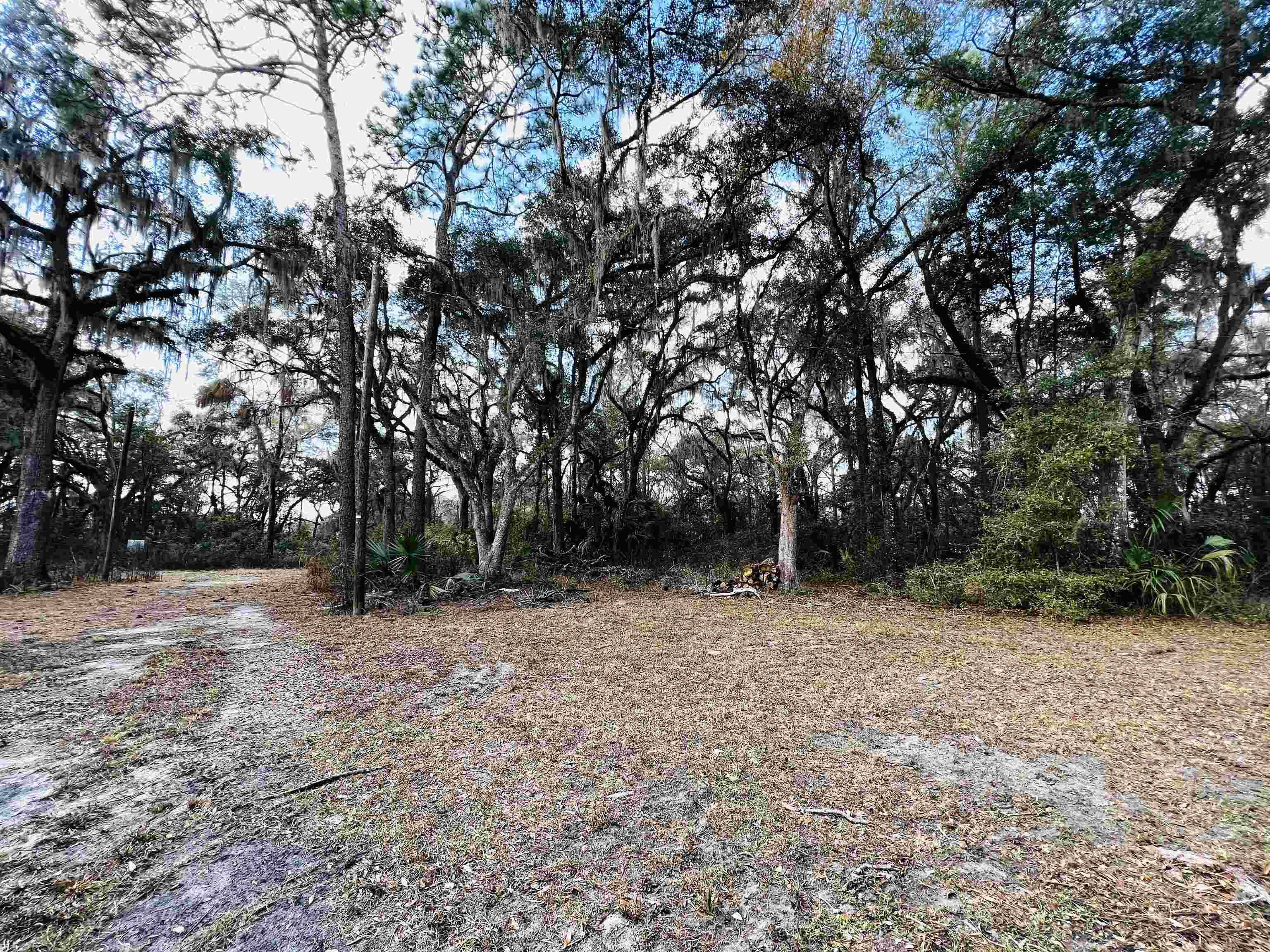 Perry, FL 32348-00,2401 Dean Road