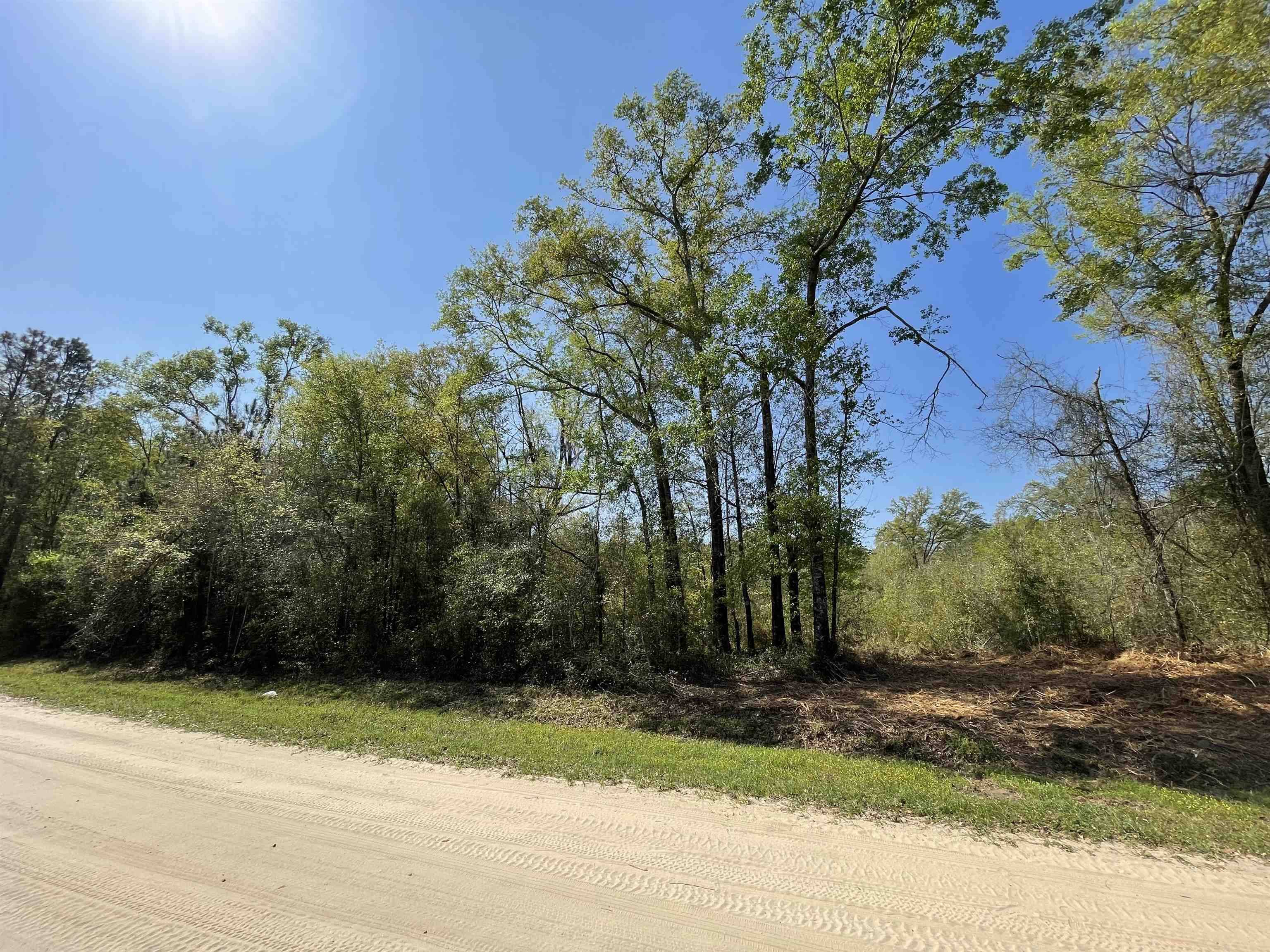 Madison County, FL 32340,Vacant NE Nixon Loop #Lot 6