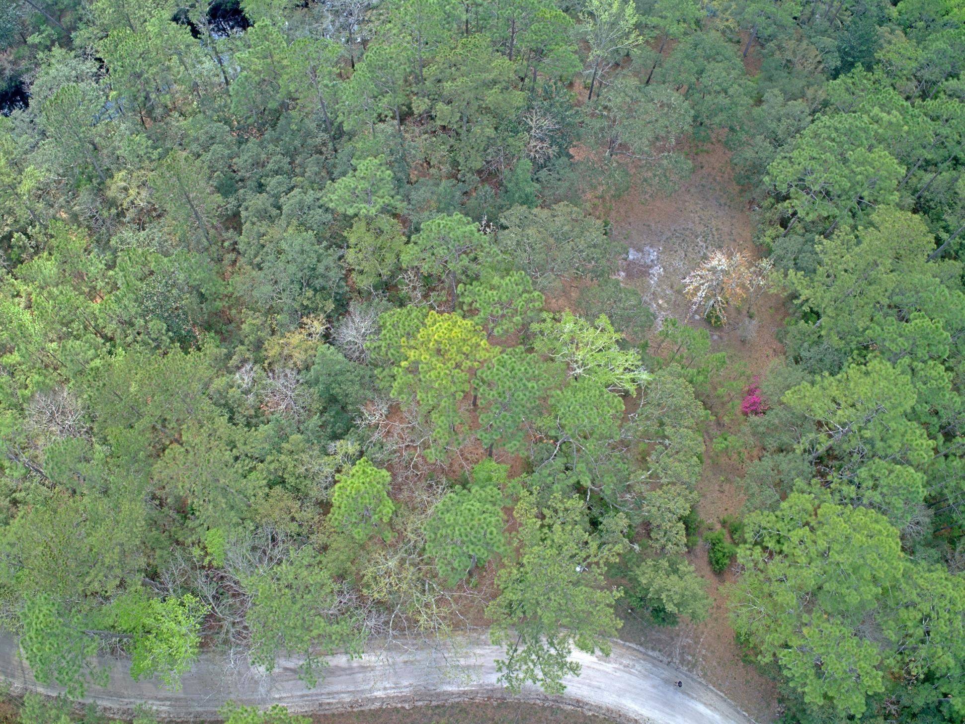 Sopchoppy, FL 32358,Lot 33 Fonigan Road