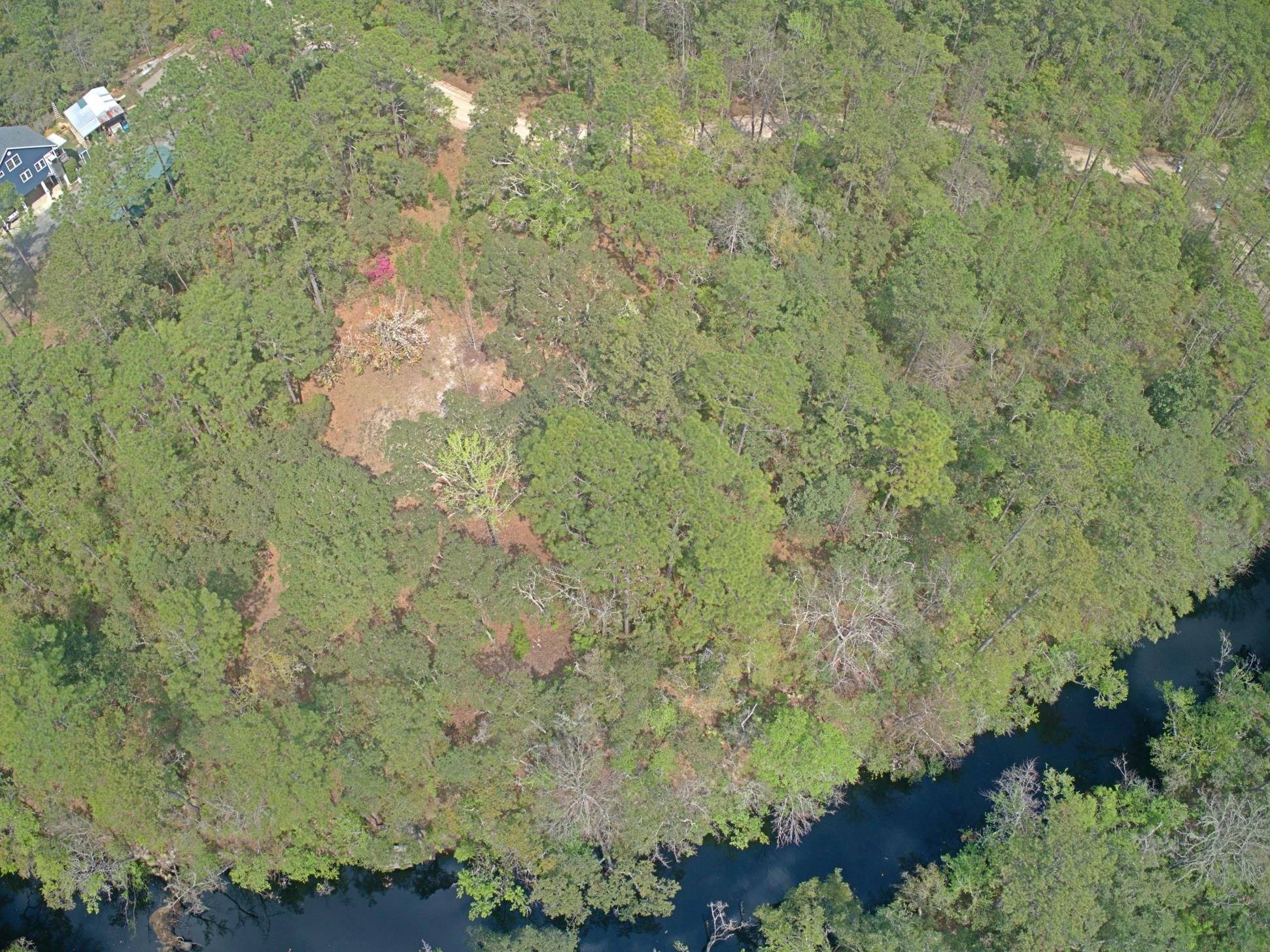 Sopchoppy, FL 32358,Lot 33 Fonigan Road