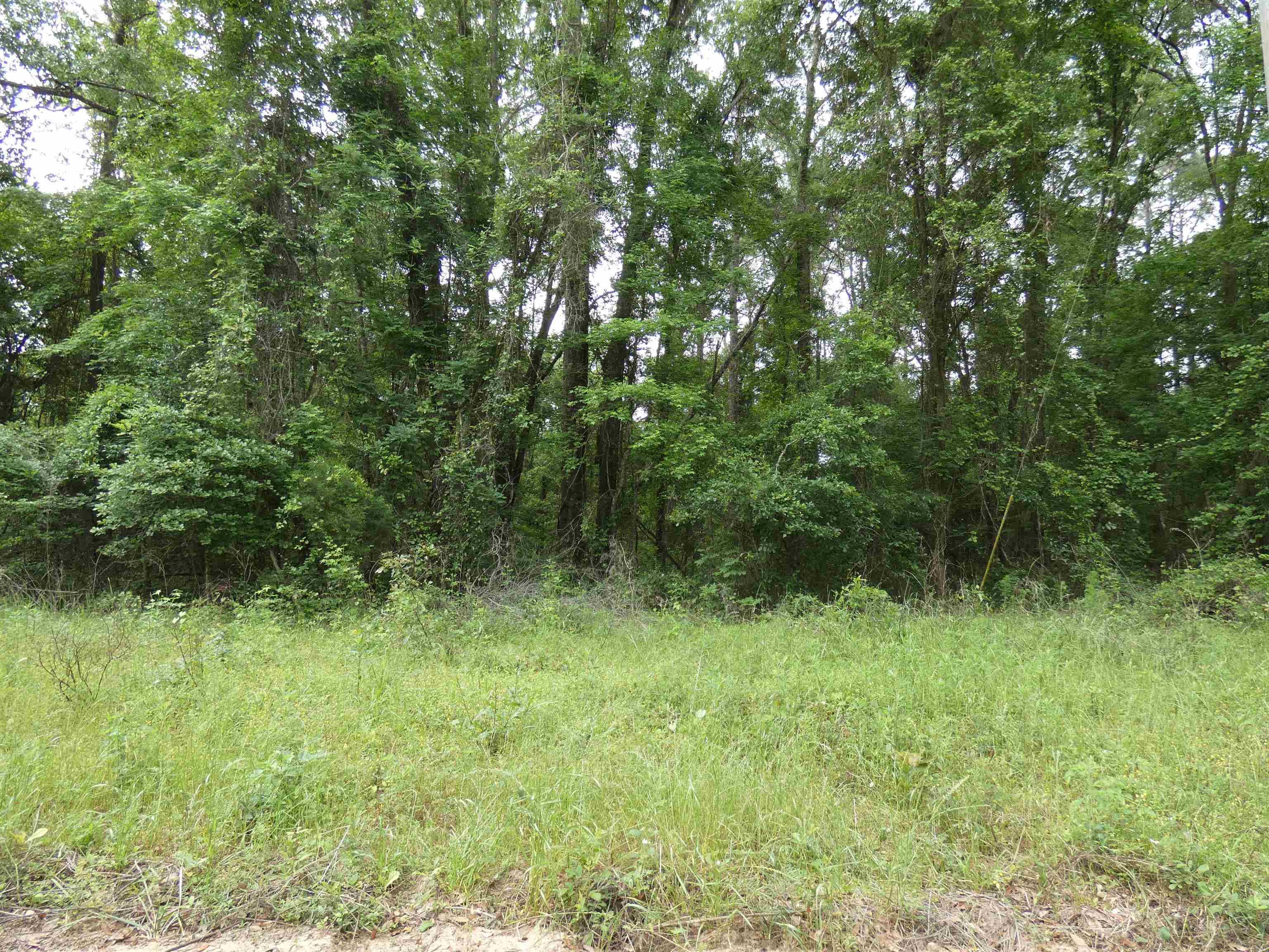 Greenville, FL 32331,tbd E 2nd Way