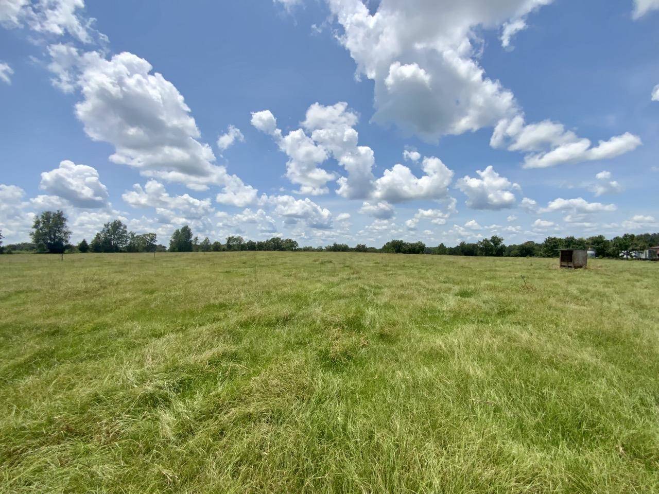 Madison County, FL 32331,Vacant NE US 221