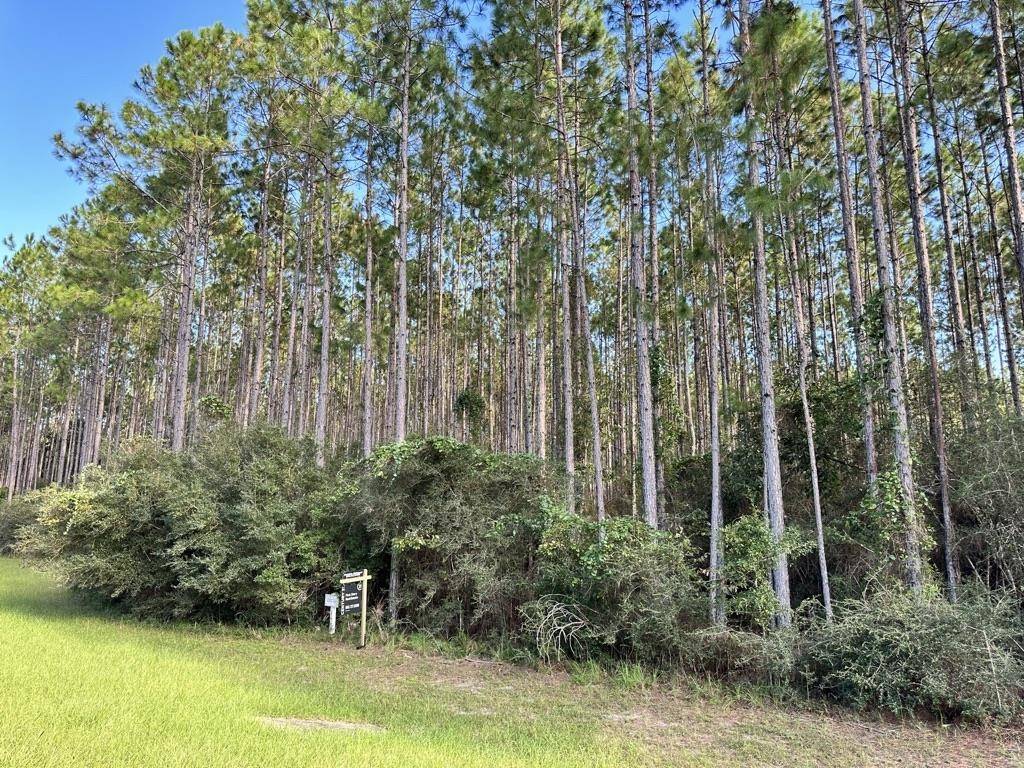 Tallahassee, FL 32305,00 Hidden Horse Way