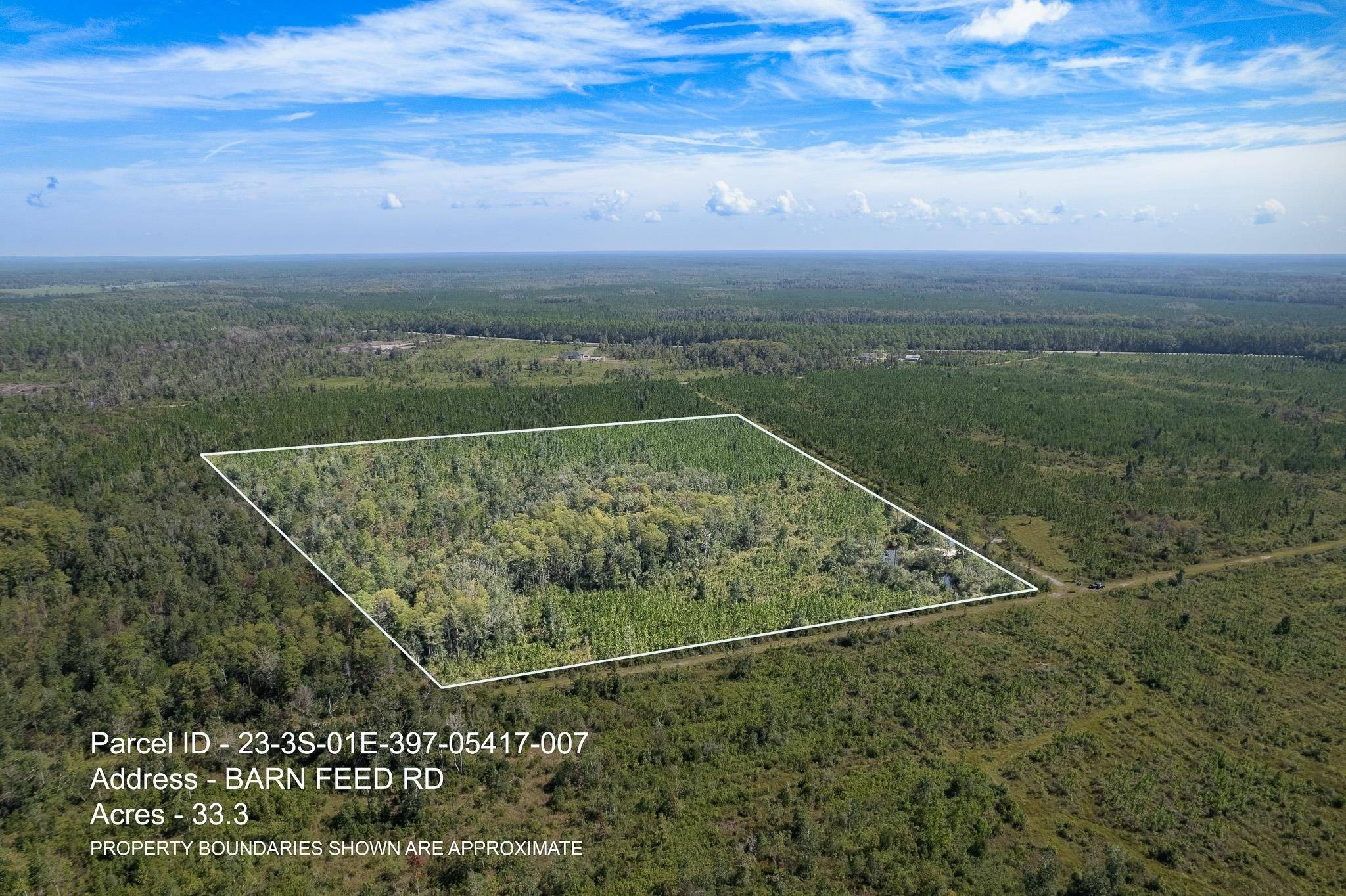 Crawfordville, FL 32327,Lot 7 Barn Feed Road