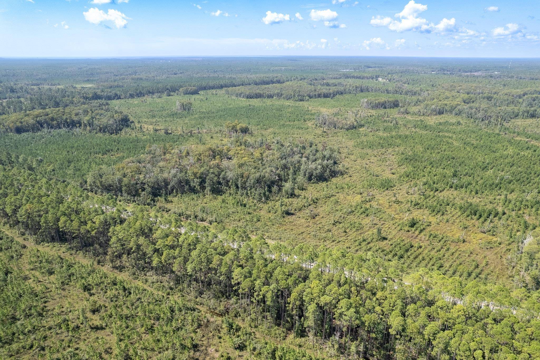 Crawfordville, FL 32327,Lot 14 Growing Timbers Road