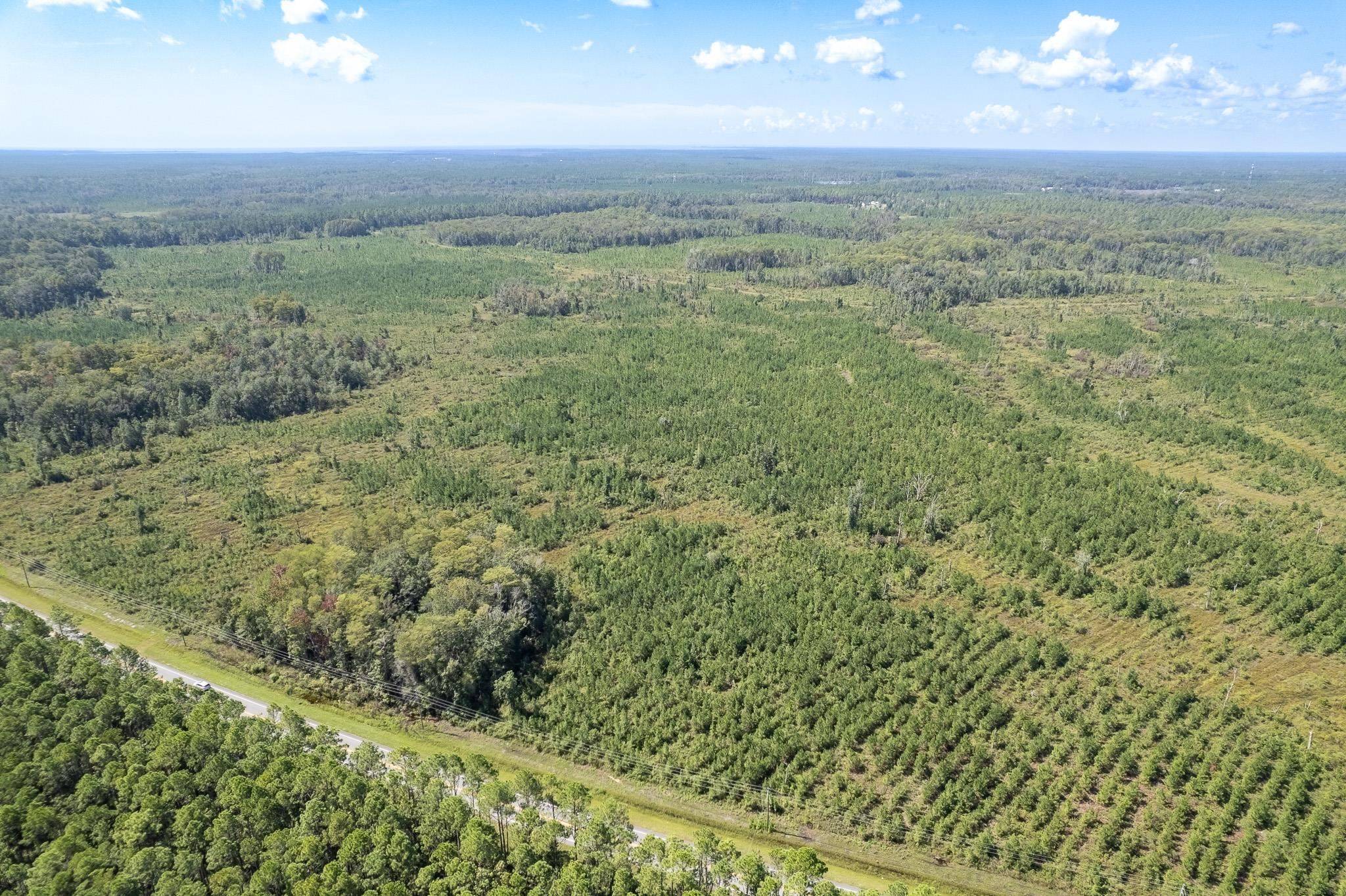 Crawfordville, FL 32327,Lot 14 Growing Timbers Road