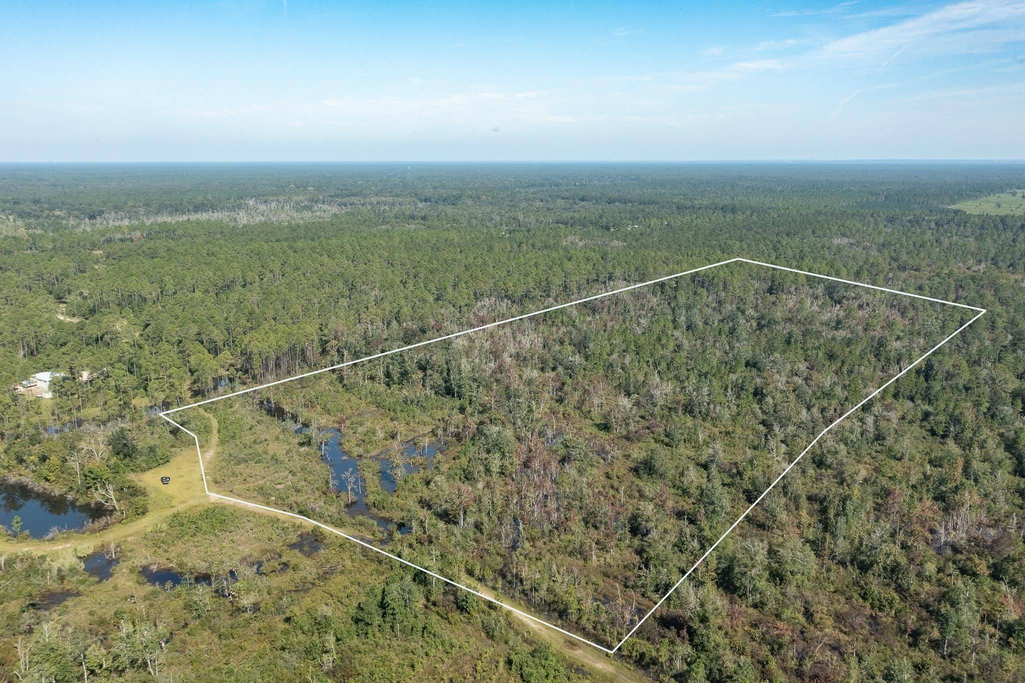 Crawfordville, FL 32327,Lot 15 Growing Timbers Road