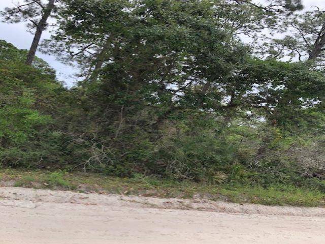 Ochlockonee Bay, FL 32346,Lot 8 Surf Road