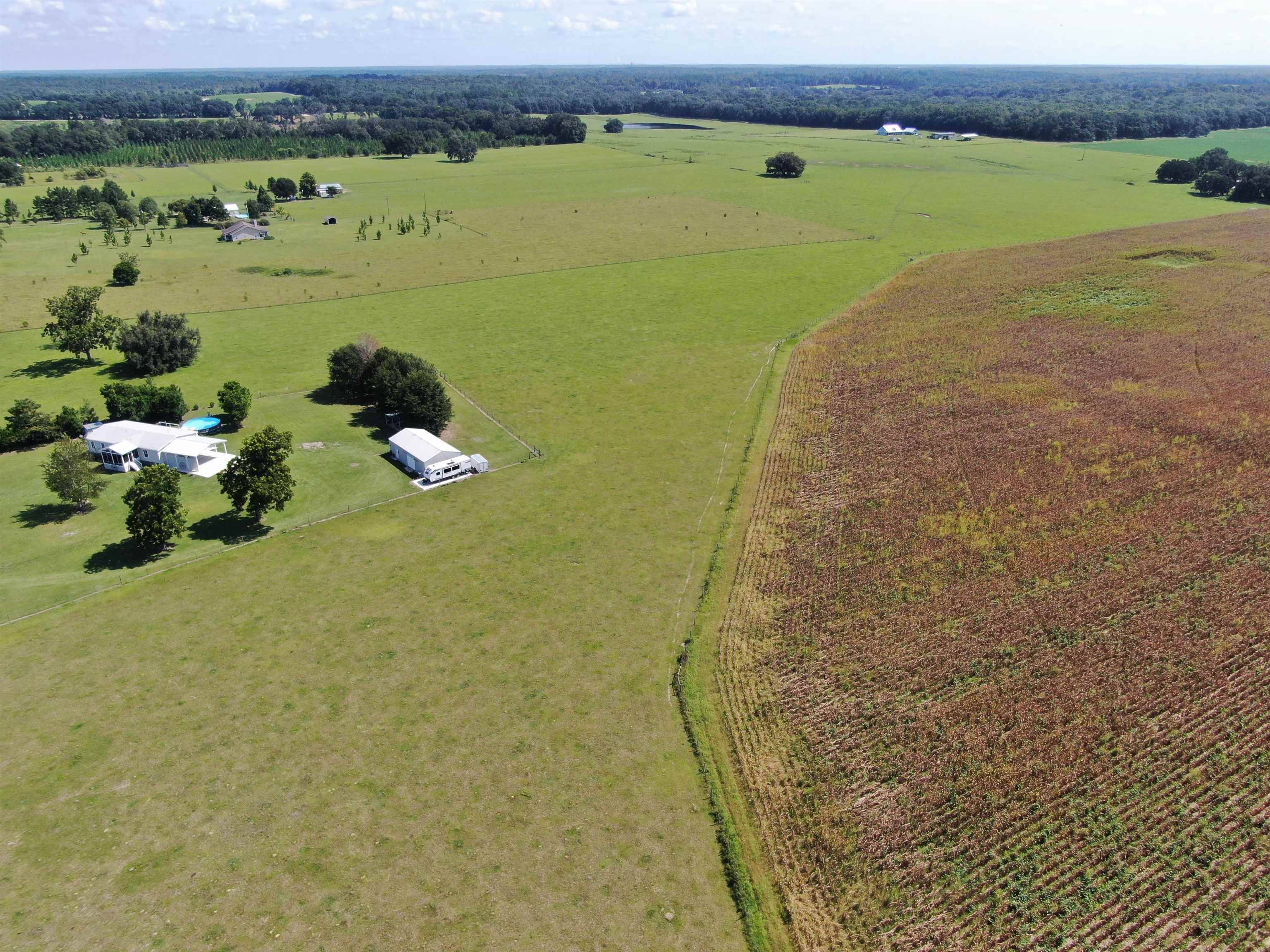 Madison County, FL 32340,Vacant NE Rocky Ford