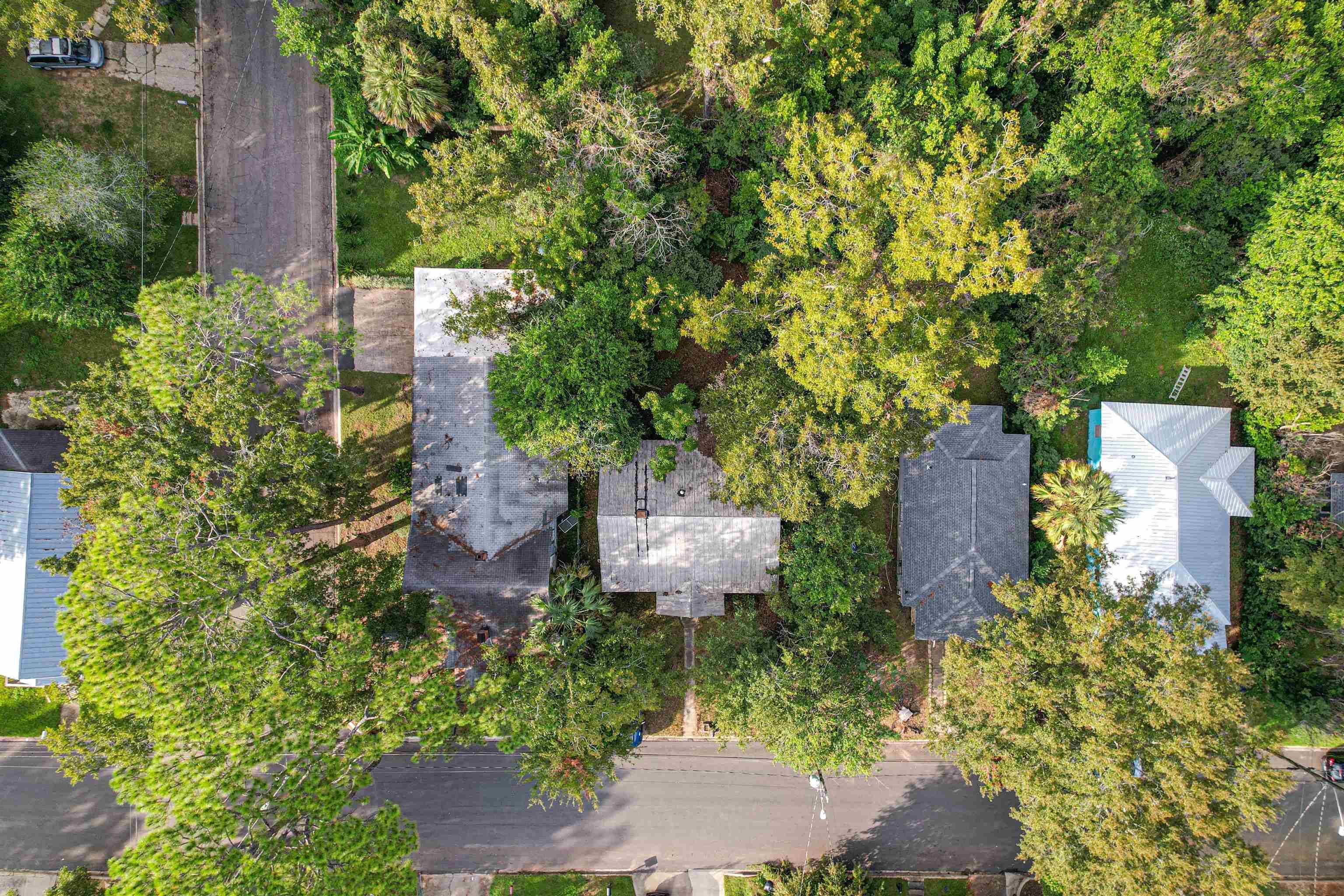 Tallahassee, FL 32304,724 Dover Street