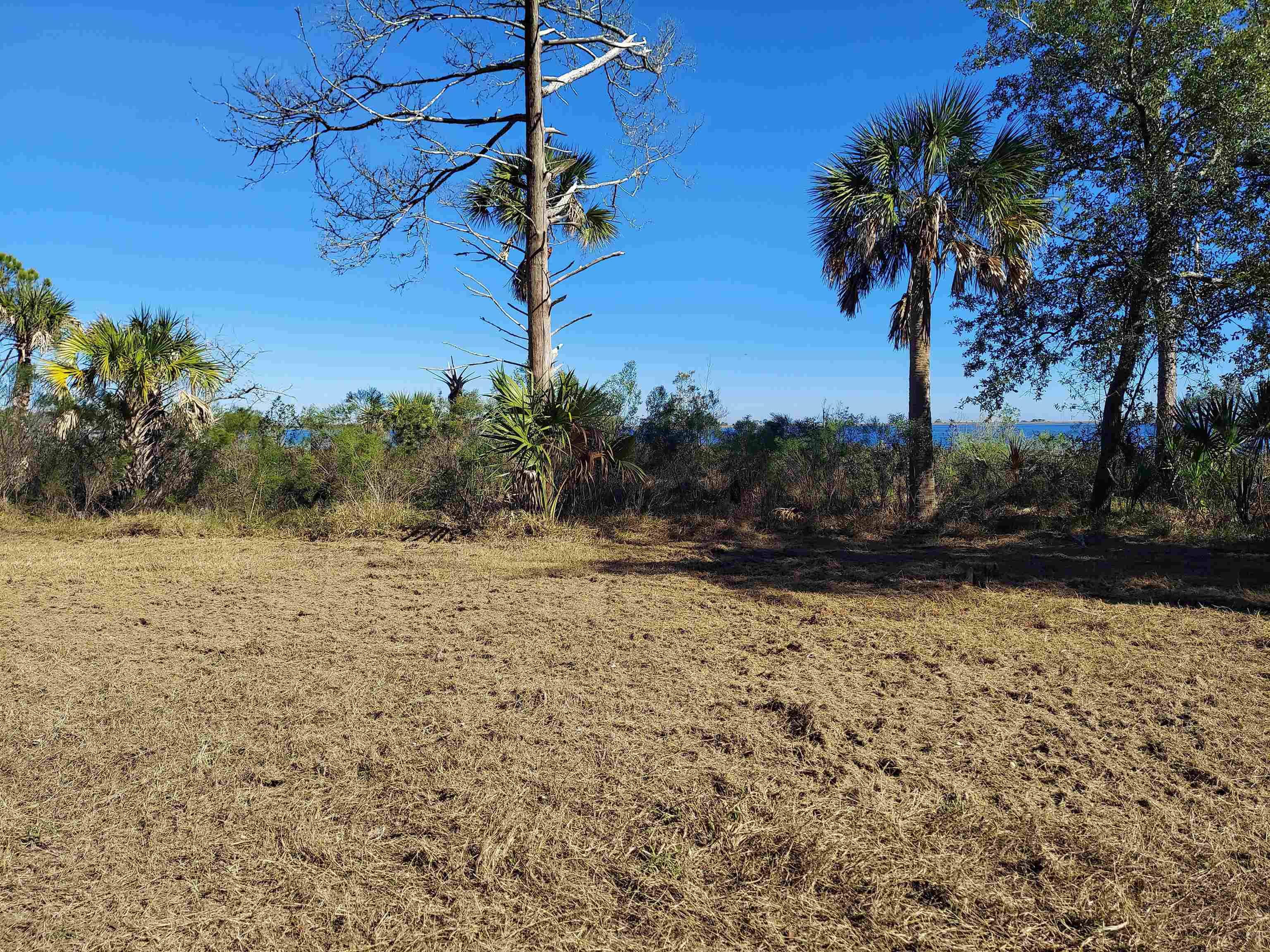 Panacea, FL 32346,lot 1 Paradise Lane