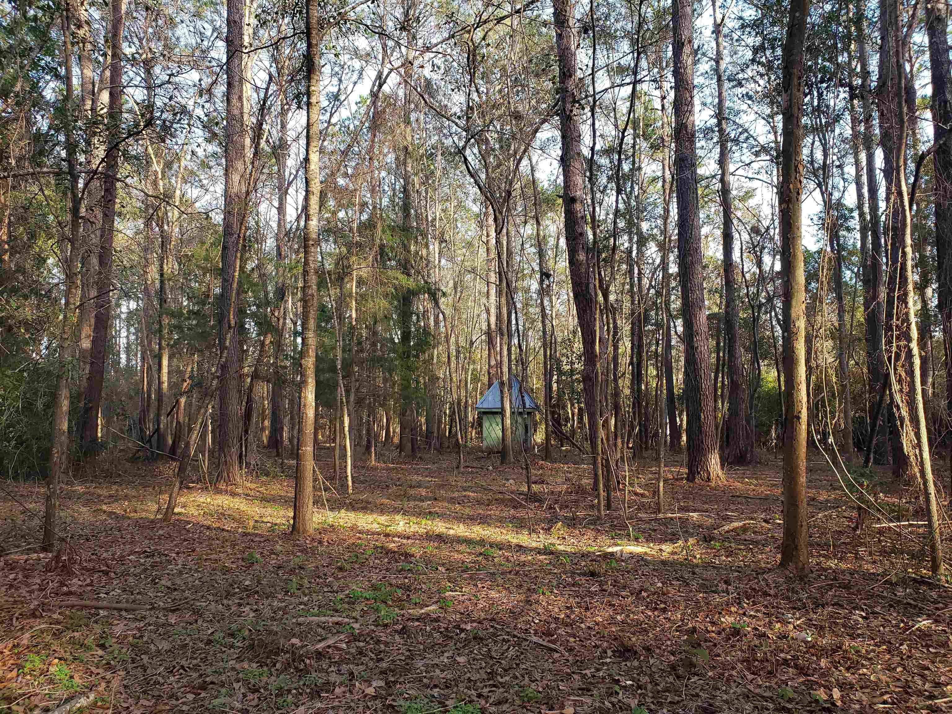 Tallahassee, FL 32309,Lot 12 Charles Samuel Drive