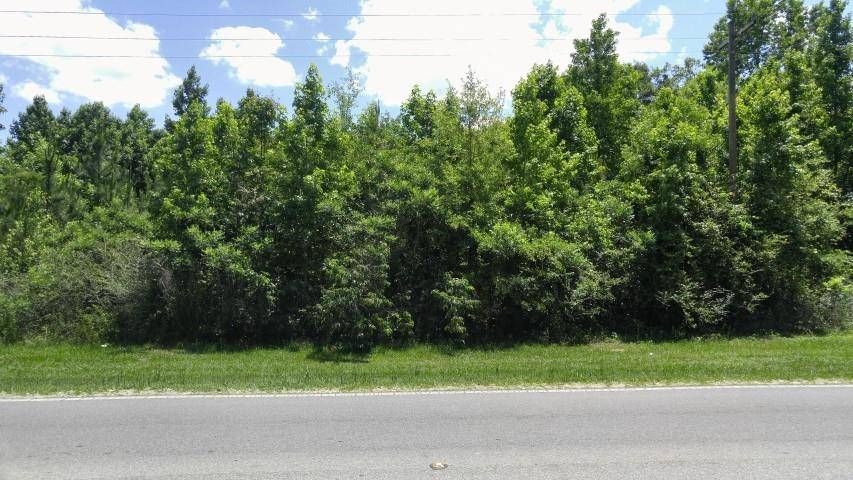 Bristol, FL 32321,XX NW County Road 12