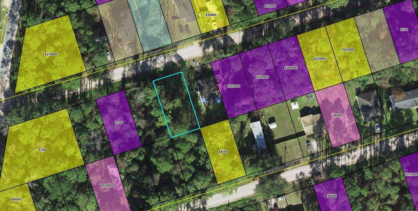 Crawfordville, FL 32327-1234,XXX NASKAPI Street
