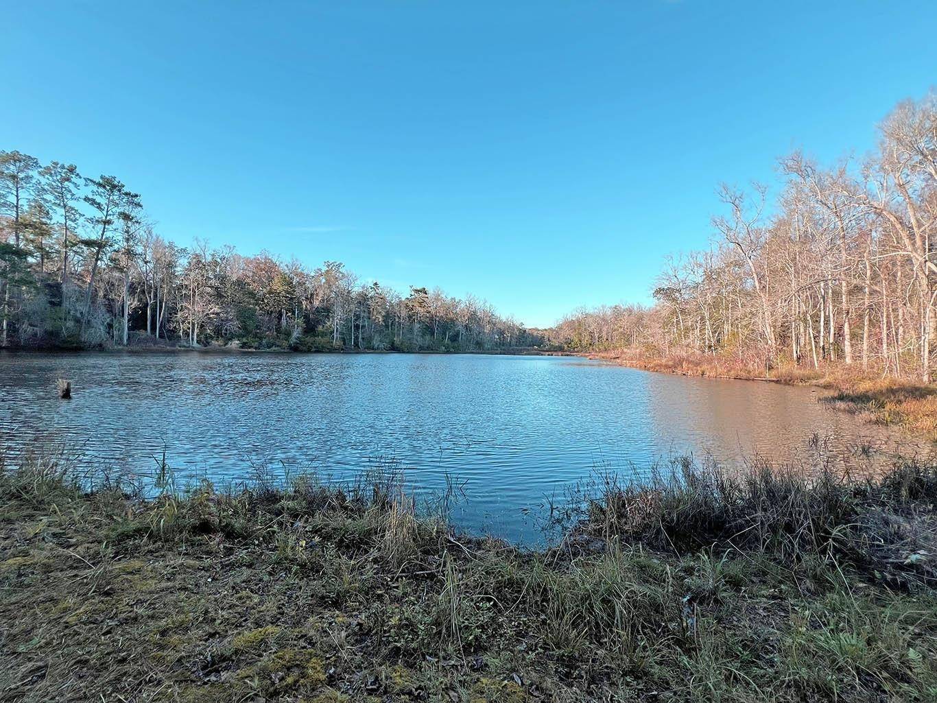 Quincy, FL 32351,2035 Salley Brown Road
