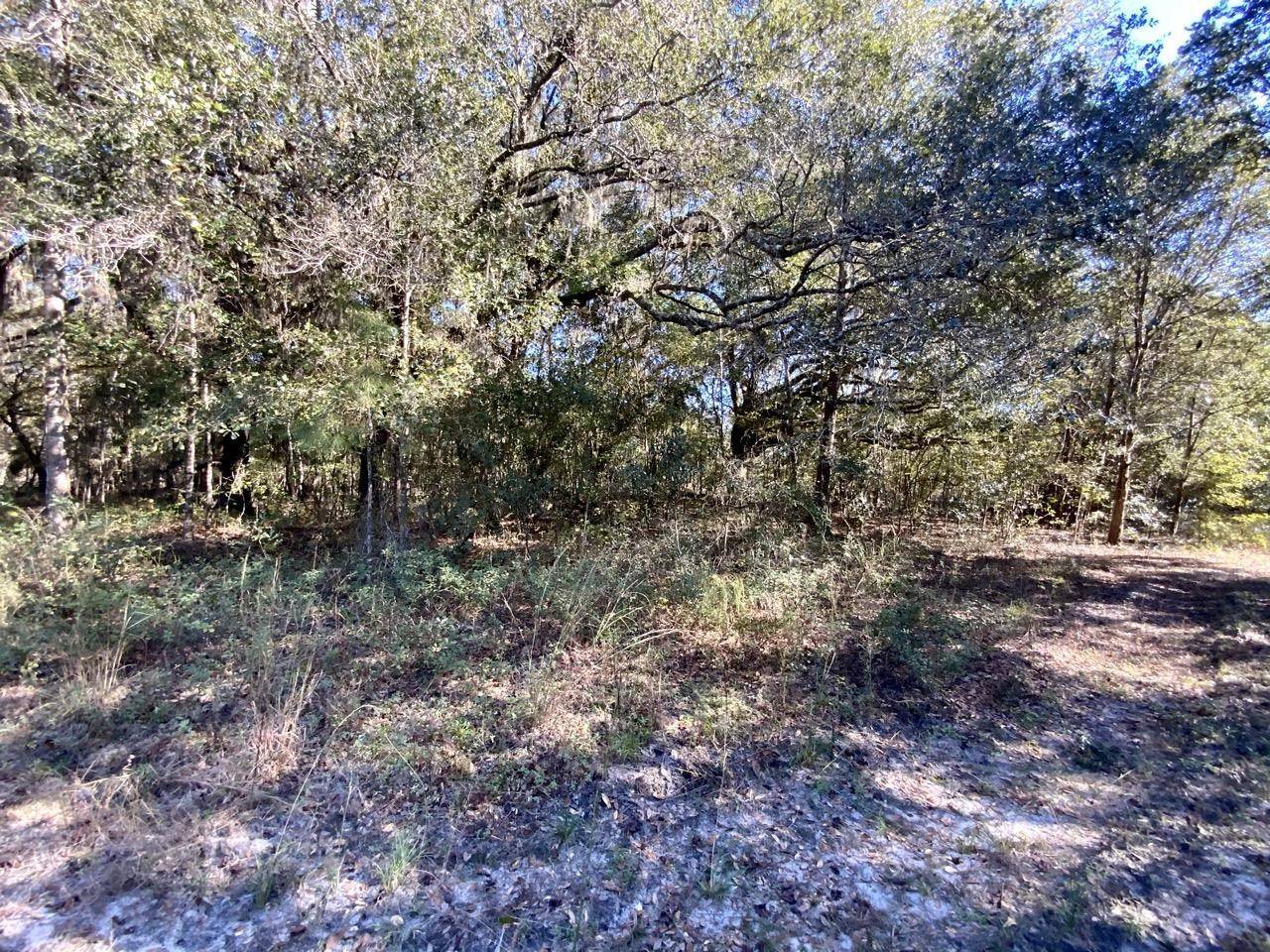 Madison County, FL 32340,Vacant NE Bittersweet Trail