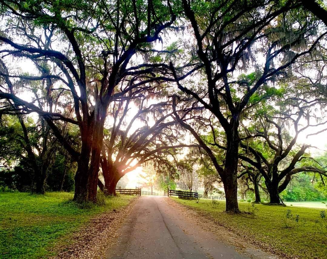 Madison County, FL 32340,Vacant NW Rolling Hills Drive
