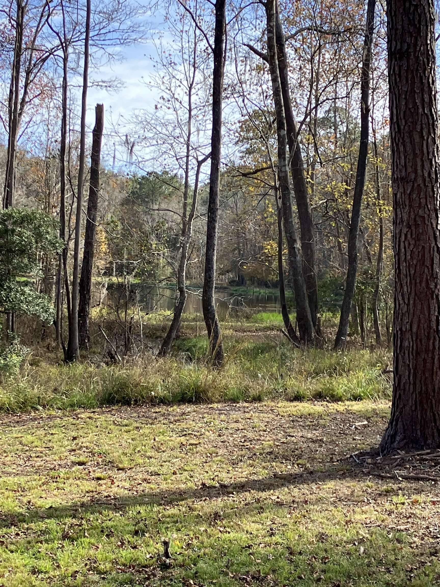Tallahassee, FL 32312,xxx Two Pond Lane