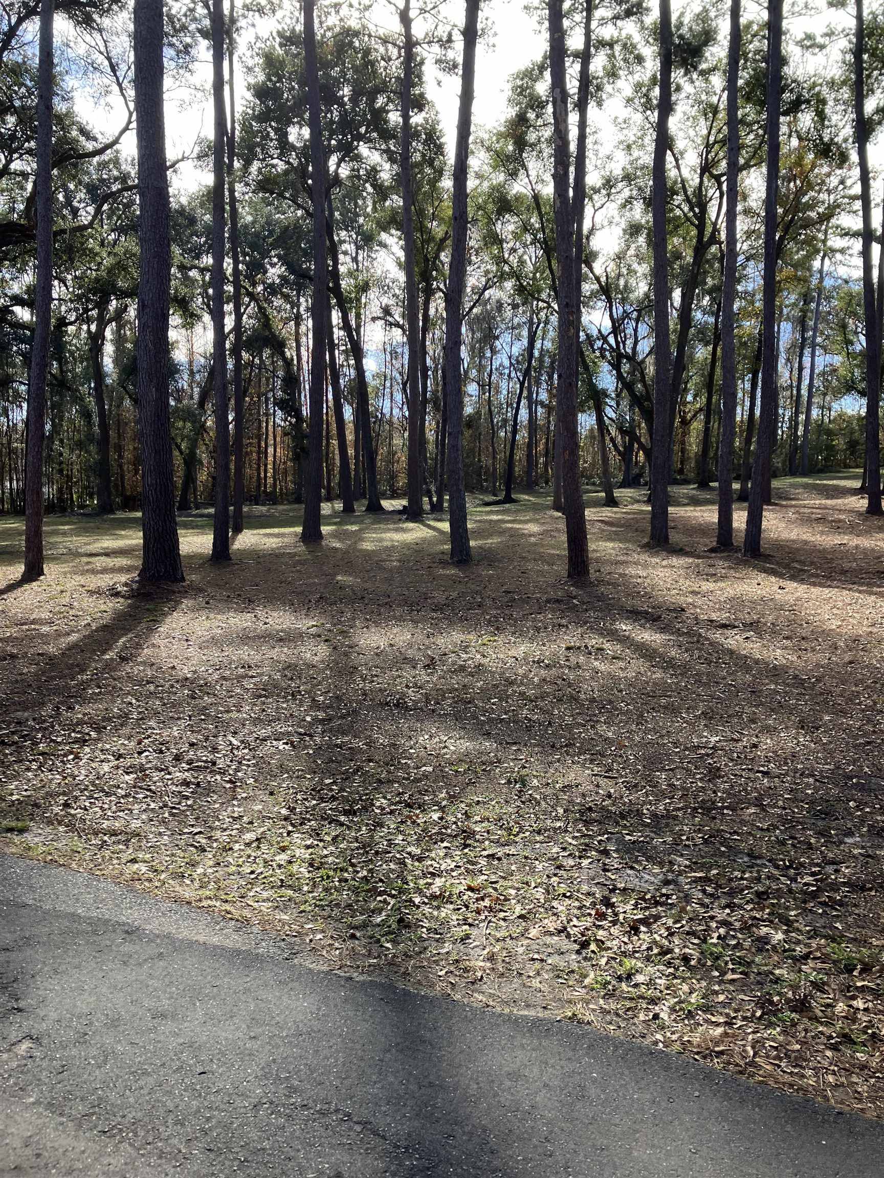 Tallahassee, FL 32312,xxx Two Pond Lane