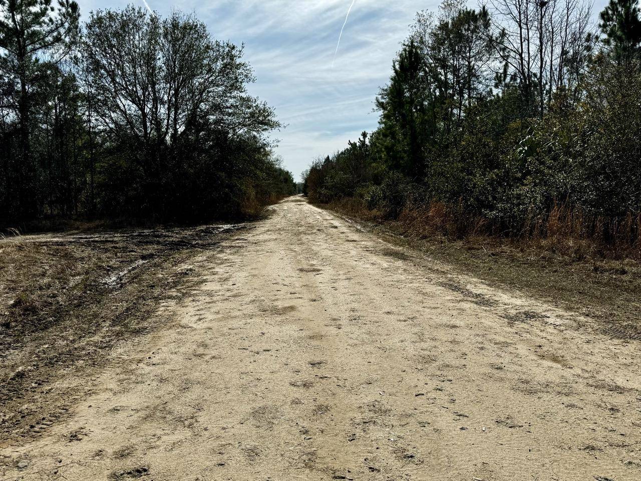 Lamont, FL 32336,Vacant 62 Road