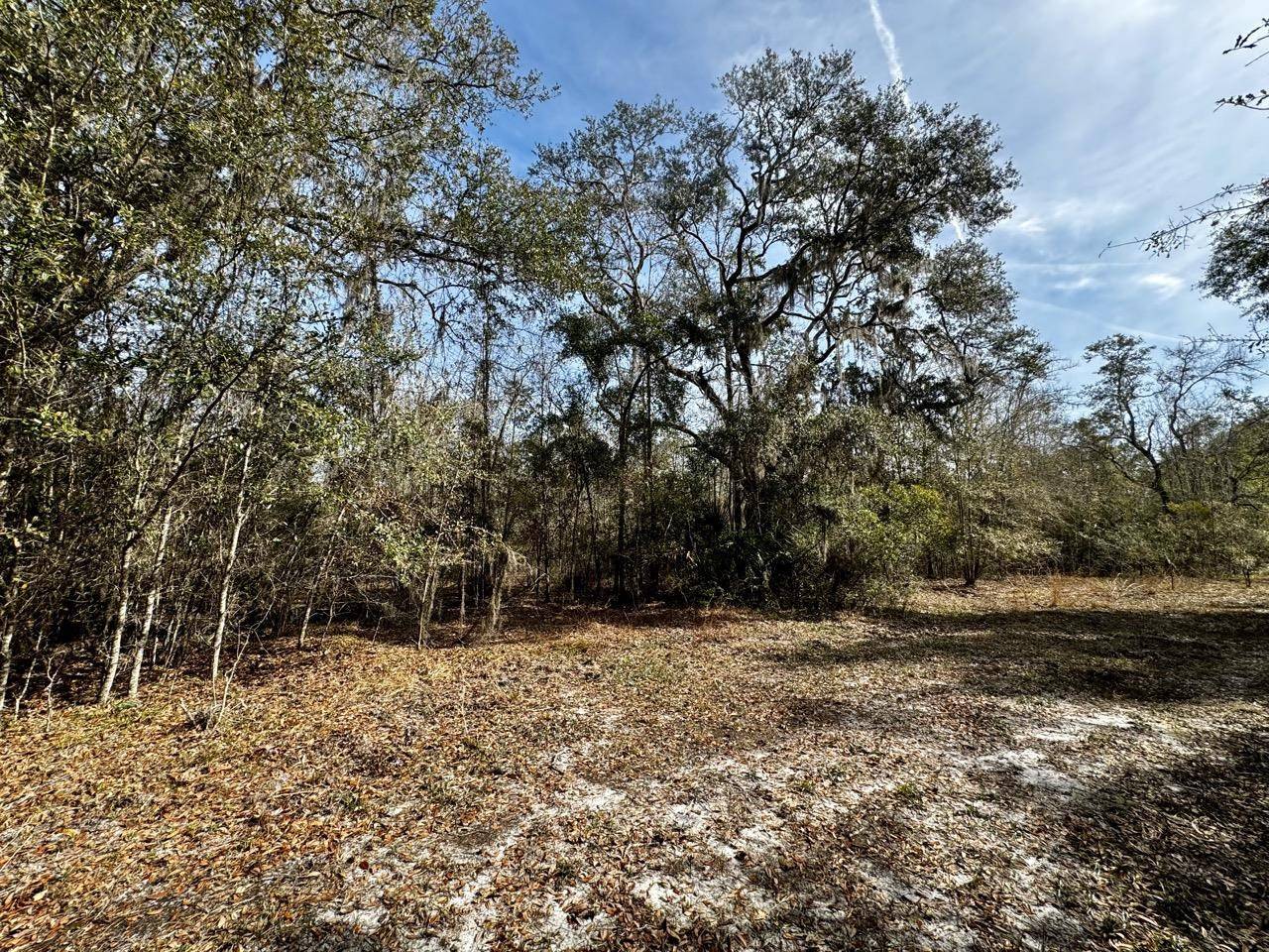 Lamont, FL 32336,Vacant 62 Road